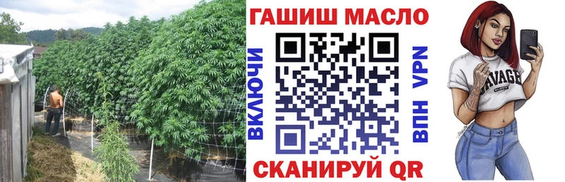 Купить  Зима  ТГК гашишное масло 