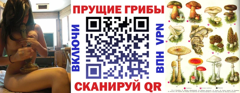 Галлюциногенные грибы Psilocybe  Купить закладки  Зима 